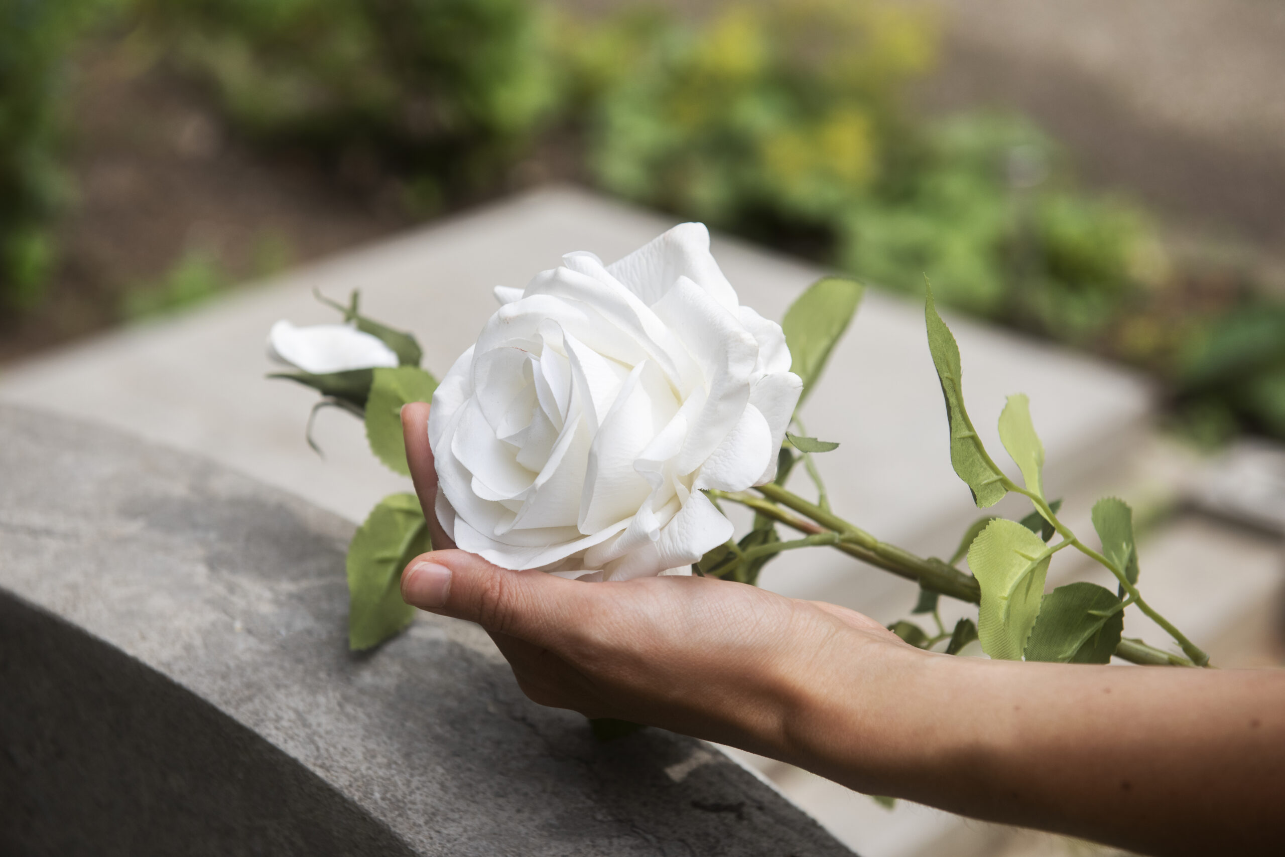 Communication avec les défunts avec Julie Vaudreuil, médium, conférencière, formatrice au CAMPUS BABAJI et auteure de la Collection Spiritualité Jeunesse.